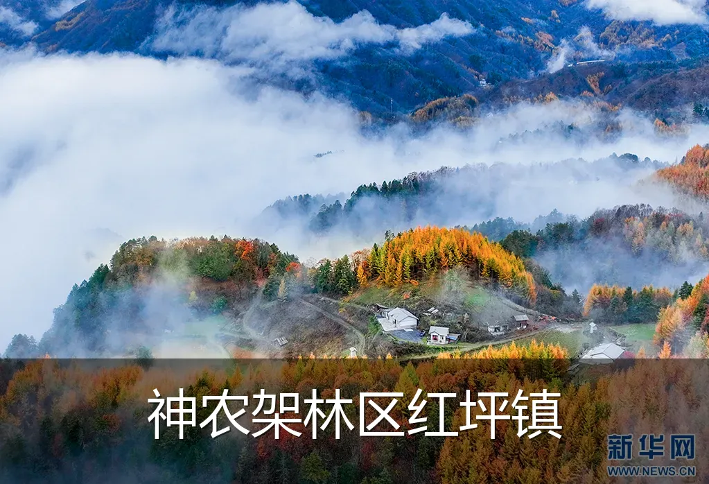 神农架林区红坪镇