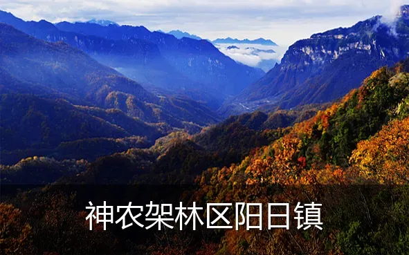 神农架林区阳日镇